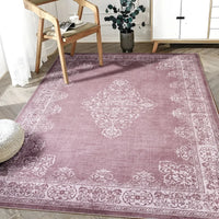The Dusty Rose Medallion Chenille Rug