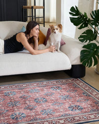 The Scarlet Path Rug